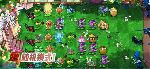PVZ���������°汾
