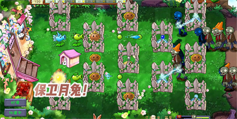 PVZ���������°汾