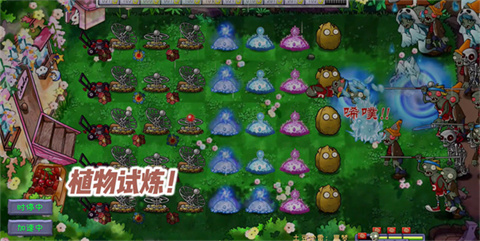 PVZ���������°汾
