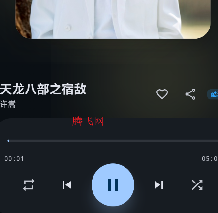 DPMusic�ֻ���app