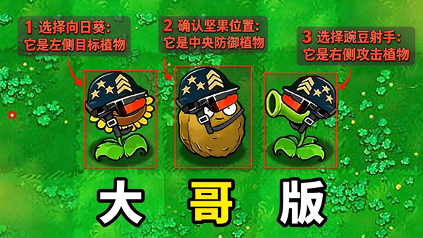 pvz�������°汾