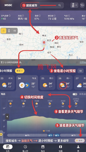 MSN΢������app