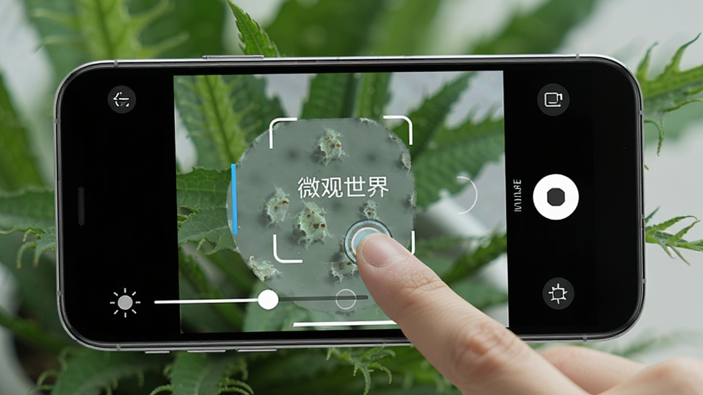 һ��չʾ΢������APP���������ͼƬ���������ֻ�������ʾ΢�۹۲컭�棬��Ļ���жԽ������Ȼ��顢���Ű�ť��UIԪ�أ�һֻ�����ڵ����Ļ���жԽ��������������黯����ɫֲ����дʵ���Ű�����������ϸ�壬ͼƬ�д��С�΢�����硱����