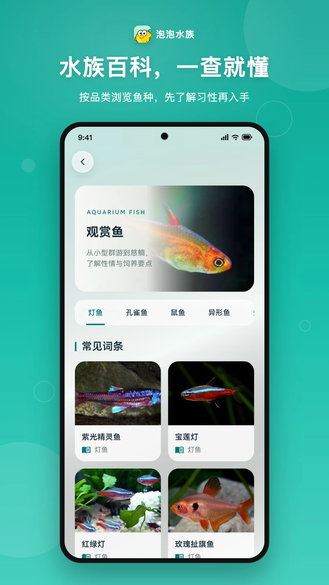 ����ˮ��-ˮ�尮���߽�������v3.0.62 2026�Ż���