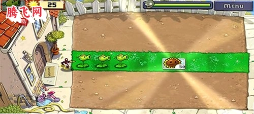 pvz�����ΰ����°�v2024.02.19 ��׿��