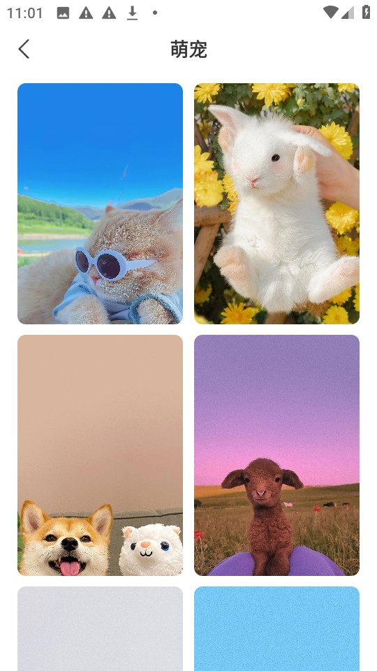 Ȥ�ǻ� ��׿�� ���ذ�װ