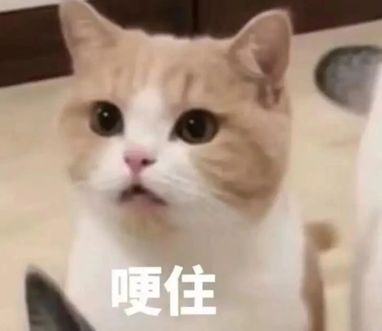 真的哽住了 安卓版 界面截图