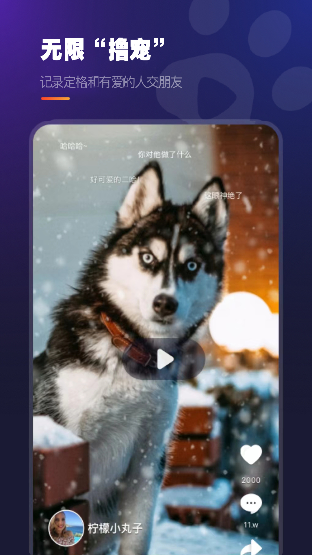 Ȥצӡ-����ɳ���¼v5.2.0 ��׿��