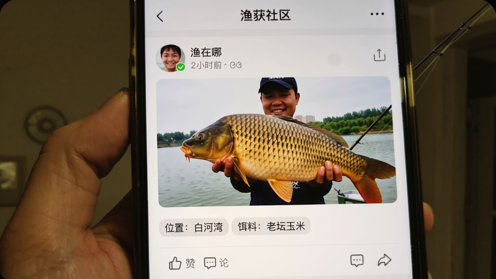 手机屏幕展示“渔在哪”App的渔获社区页面,顶部是用户头像和发布时间,中间是一张钓友抱着大鲤鱼的照片,照片下方有“位置:白河湾”“饵料:老坛玉米”的标签,底部有点赞和评论图标,界面以白色和浅灰色为主,风格温馨真实