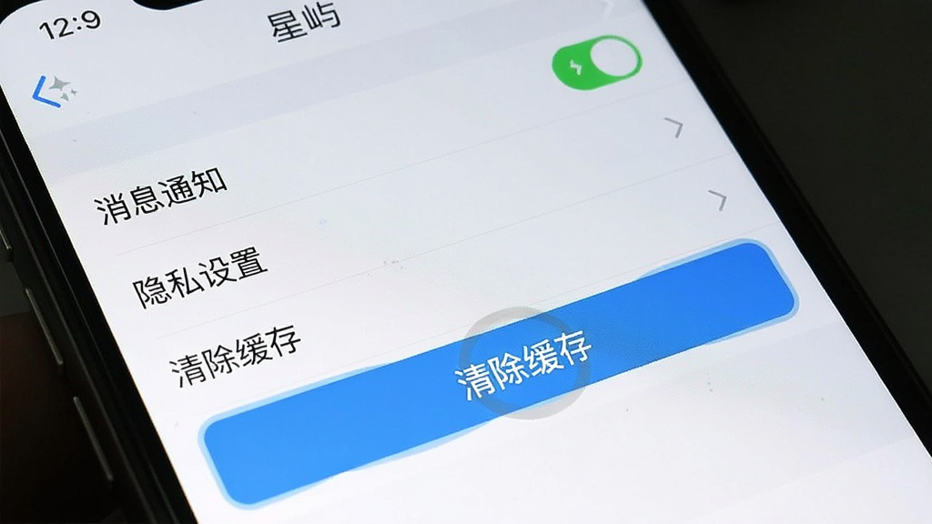 一张手机屏幕截图风格的图片,画面中显示“星屿”App的设置界面,有“消息通知”、“隐私设置”、“清除缓存”等选项,界面简洁,重点突出“清除缓存”按钮。画质干净,无多余元素。