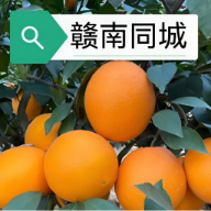 ����ͬ��-�����������v16.5.0 2026���°�