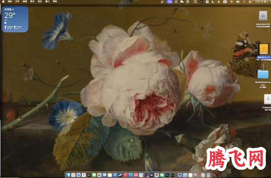 Compositor 12M������v1.4.9 ���°�