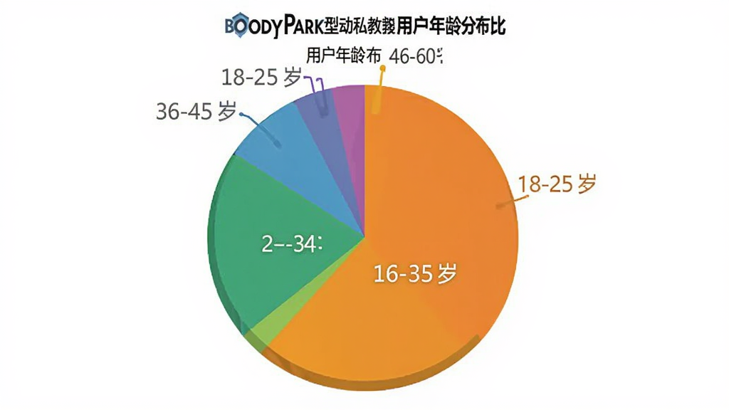 BodyPark型动私教 用户年龄分布饼状图 展示18-25岁 26-35岁 36-45岁 46-60岁不同年龄段占比 数据可视化 彩色饼图 现代扁平风格 细节清晰 画质干净 无多余元素