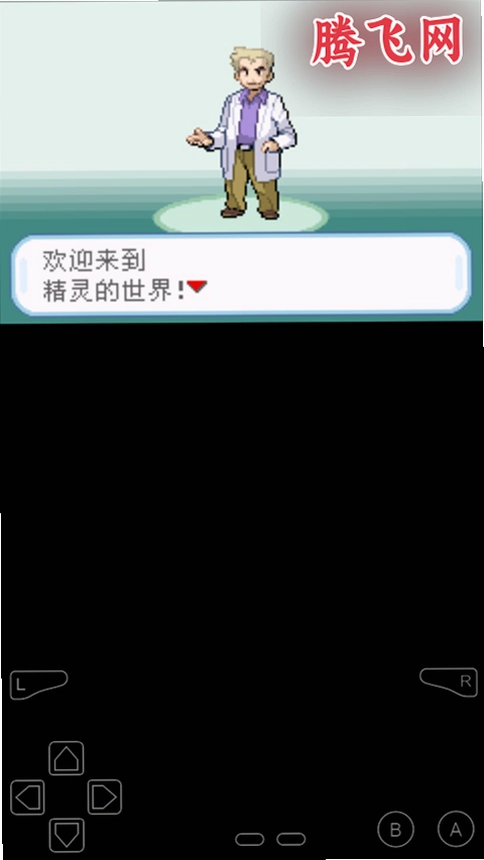 �ڴ�����Ҷ�̰溺����v1.6.3 ��׿��