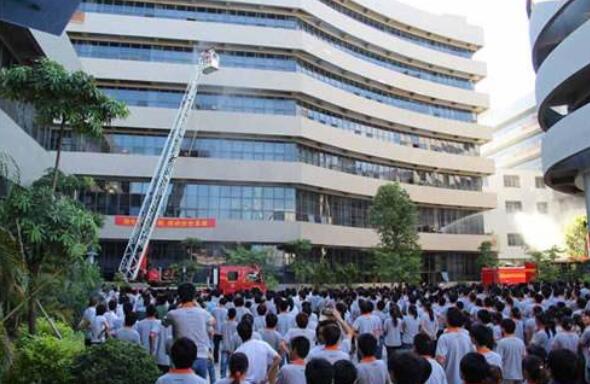 植物君 安卓版 下载