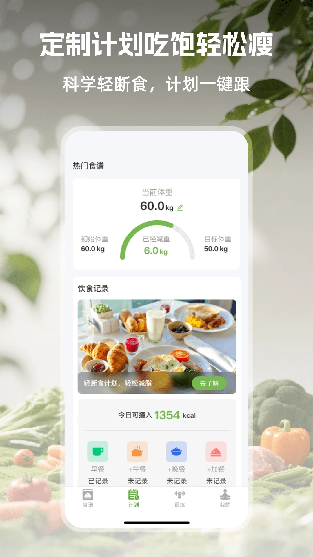��Ҷ���ʳ-��Ъ�Զ�ʳ����v1.0.3 ������