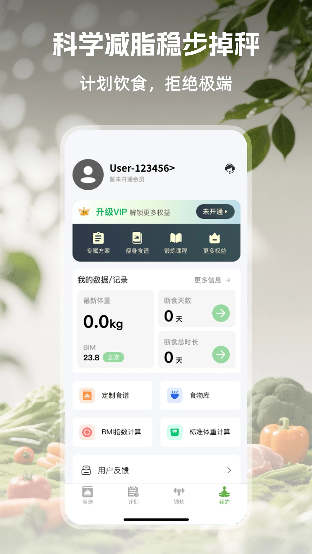 ��Ҷ���ʳ-��Ъ�Զ�ʳ����v1.0.3 ������