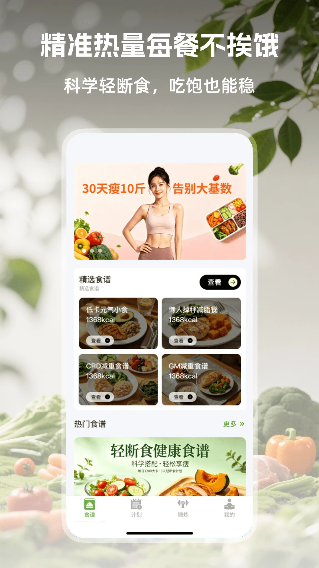 ��Ҷ���ʳ-��Ъ�Զ�ʳ����v1.0.3 ������