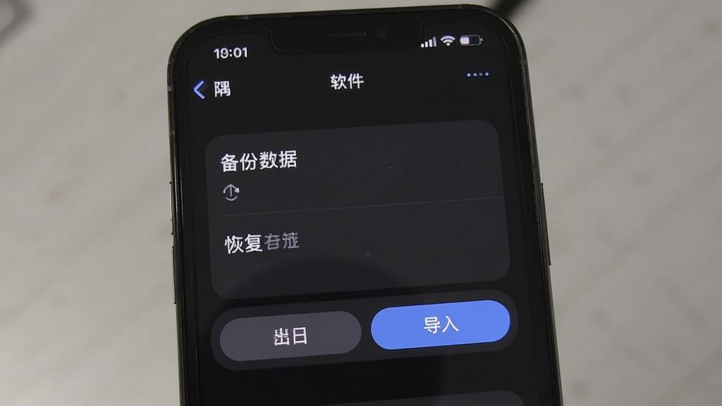 一隅 软件 设置 界面 展示 备份 与 恢复 选项 手机 屏幕 上 有 导出 数据 和 导入 数据 的 按钮 背景 是 深色 模式 风格 沉稳 画质 干净 无多余元素