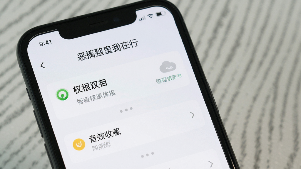 一张手机屏幕展示“恶搞整蛊我在行”设置界面的图片,画面中显示权限管理和音效收藏选项,背景为浅色,布局简洁,风格清爽,细节清晰,画质干净,无多余元素