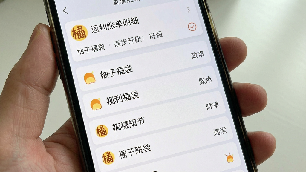 柚子福袋 返利账单明细界面 手机屏幕 数字清晰 条目列表 清爽布局 浅色背景 干净无杂乱元素