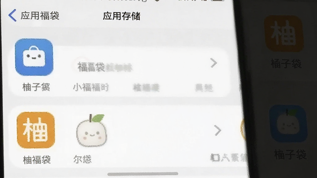 柚子福袋 应用存储占用截图 手机设置界面 显示小容量 简洁图标 蓝白色调 干净画质