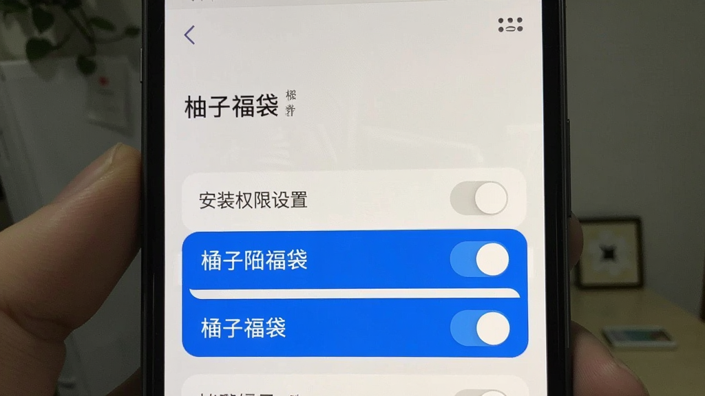 柚子福袋 安装权限设置界面 手机截图 权限开关 蓝色高亮 简洁布局 干净画质