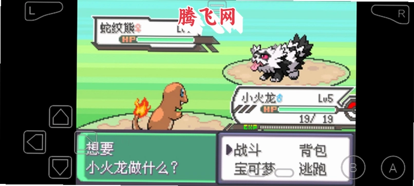 口袋妖怪夜之戒深渊之行手机版v1.0 安卓版