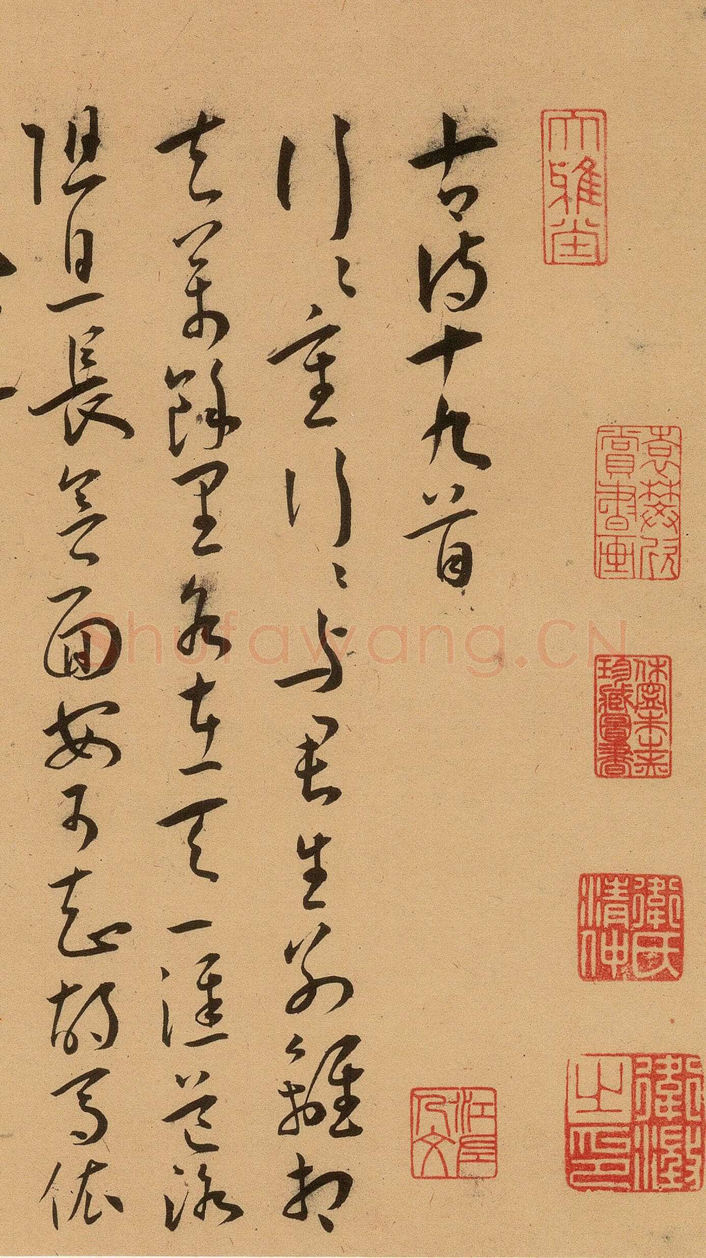 惠龄宝 安卓版 界面截图