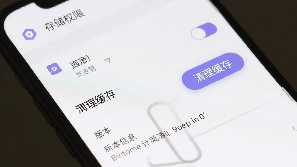 �ֻ���Ļ��ʾ�İ�app�����ý��棬�д洢Ȩ�޿��ء��������水ť���汾��Ϣ��ѡ������࣬��ɫ�������䵭��ɫͼ�꣬���ʸɾ��������޶���Ԫ��