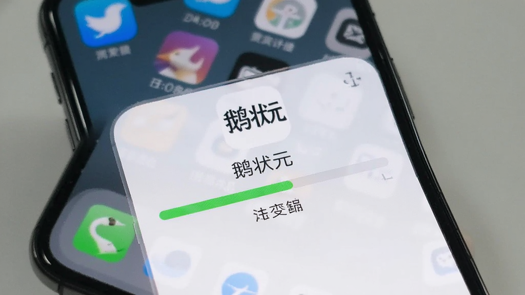 一张展示手机屏幕上正在安装“鹅状元”应用的图片,画面中安装进度条走到一半,背景是手机桌面,整体风格写实,画质清晰,无多余元素