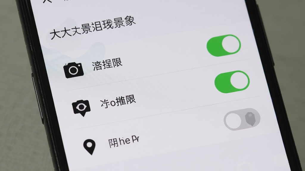 一部手机显示“大景象”应用的权限设置界面,相机和存储权限已开启,位置权限处于关闭状态,界面清晰,图标明确,风格简洁,画质干净无多余元素