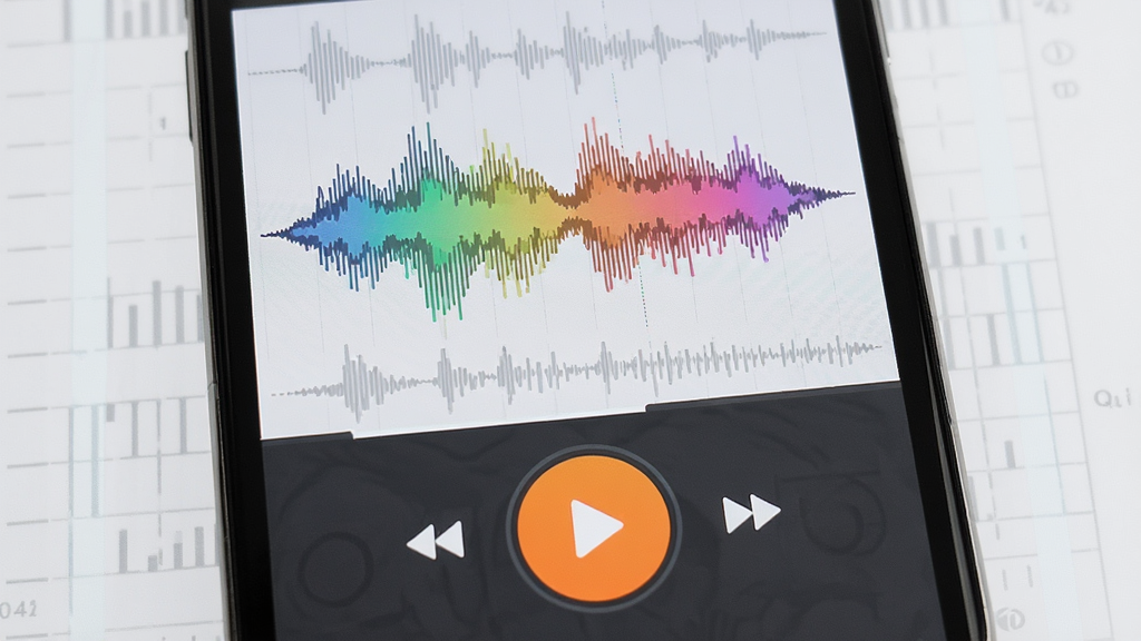 һ��չʾDonner Play¼����طŹ��ܵ���ͼ��ʾ�ʣ�������һ���ֻ���Ļ��ʾ¼�����κͲ��ſ��ư�ť���������Ϸ�����ͼ���·����������Ű�ֱ�����ã�����Ǽ�����Ƶ����վ���ϸ���ϲ����в�ɫ�����ʾ������С�����Ű�ť����Ŀ�ĳ�ɫԲ�Σ������е����Ľ����������ߣ������������޶���Ԫ�ء�