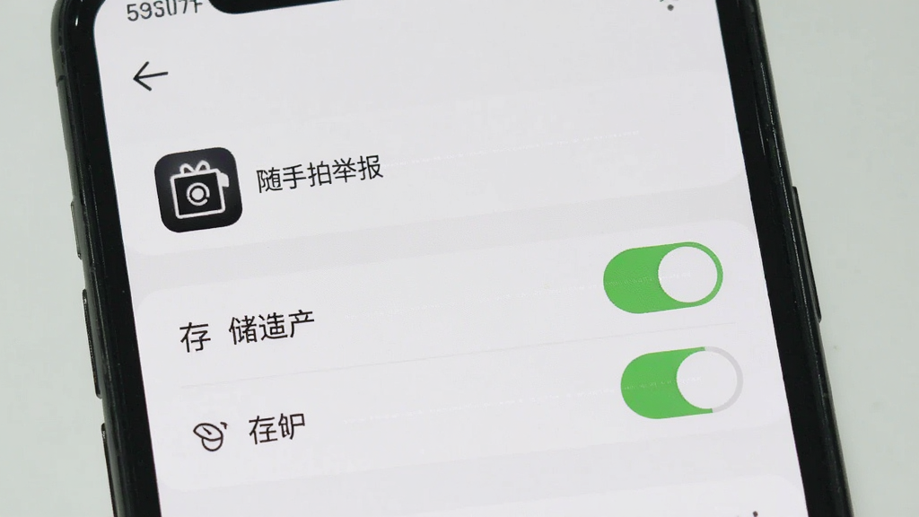 随手拍举报安装权限设置示意图,手机屏幕显示系统设置中的应用权限管理页面,相机和存储权限开关处于开启状态,界面标注“随手拍举报”应用名称,背景为浅色,风格直观清晰,画质干净,布局简洁