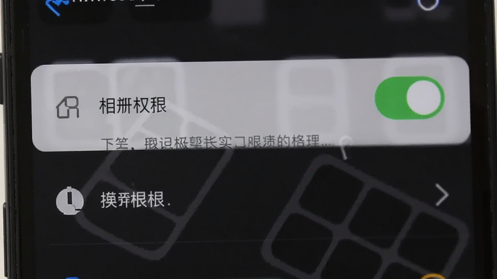 一张手机屏幕显示调色帮的权限设置界面,列表中相册权限处于开启状态,旁边有说明文字,界面简洁,深色主题,画质清晰,无多余装饰元素
