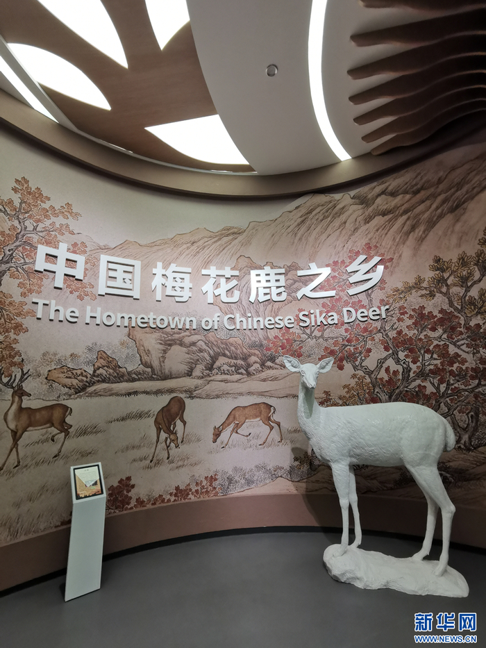 库课专升本 安卓版 题库界面