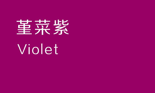 紫立方 安卓版 下载