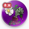 植物大战僵尸联想乐pad版v1.0.0 手机版