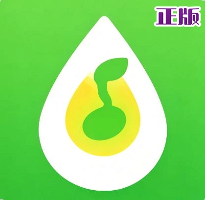 树夏Music音源appv2.5.113 最新版