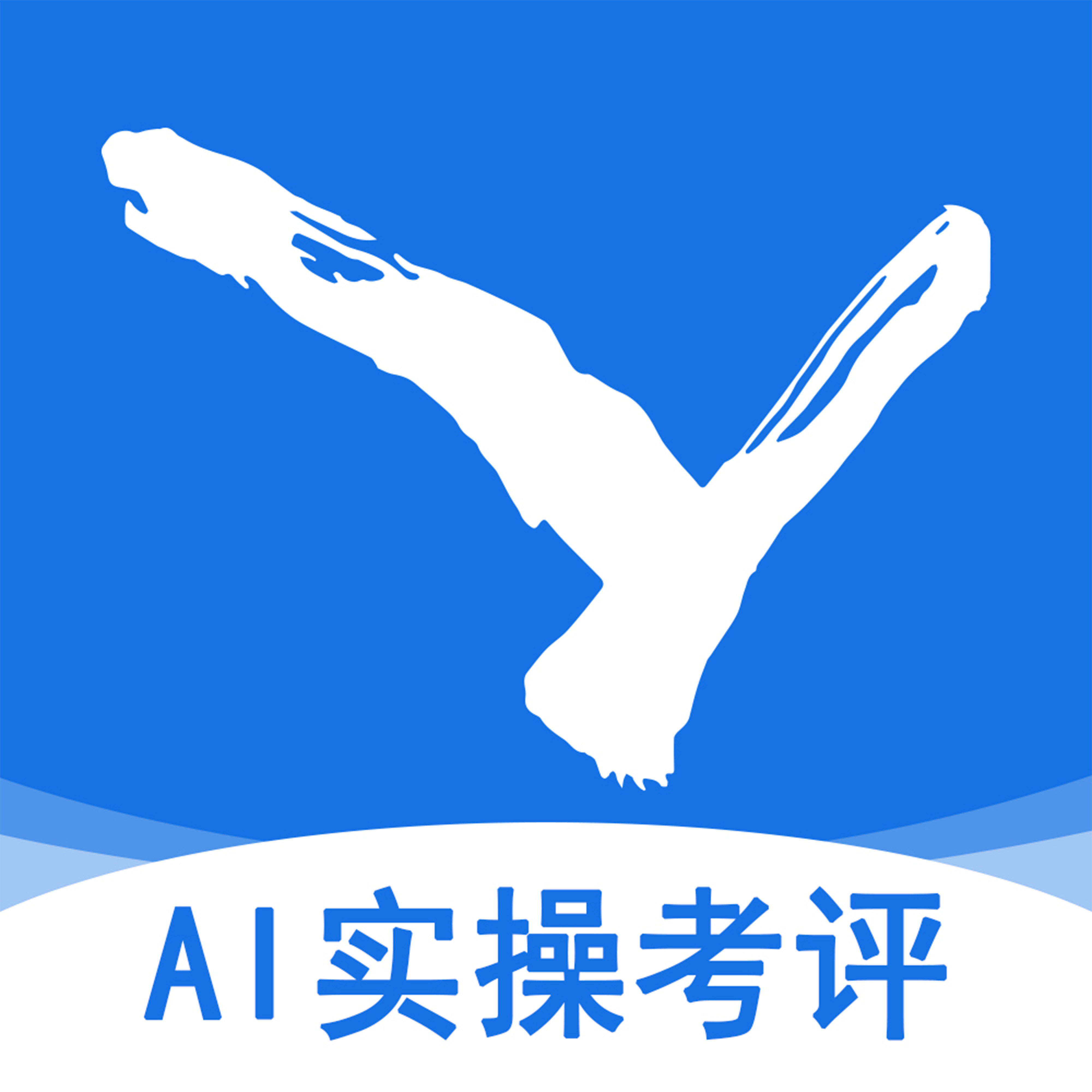 AIʵ�ٿ���-ʵ�ٱ�������v1.0.6 ��׿��