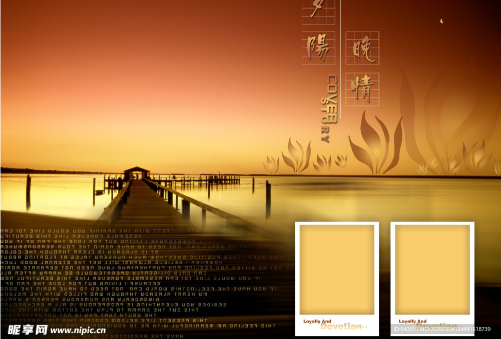 夕阳情 安卓版 下载