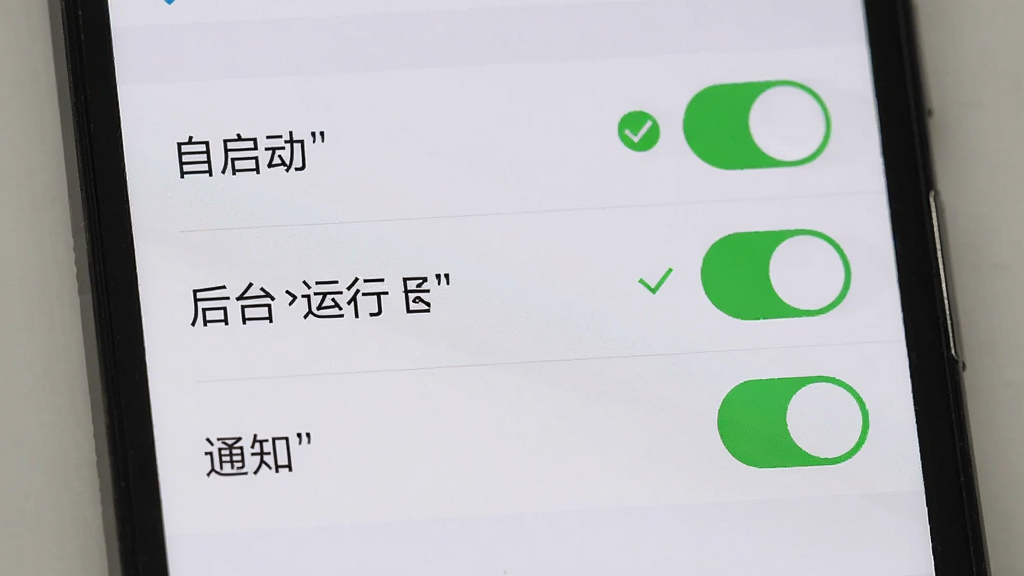 һ���ֻ���Ļ��ʾȨ�����ý��棬�б�����