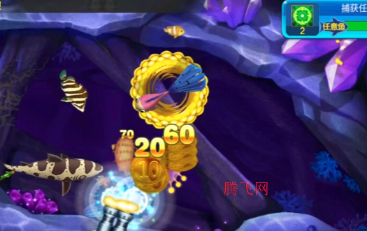 �ֻ���󸲶���ƶ���