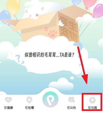 �����������Ȧapp