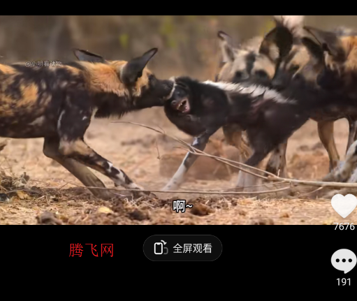 ������ѡAPP�ٷ���(ԭ������Ƶ)