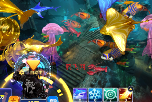 ����籩�����ֻ���