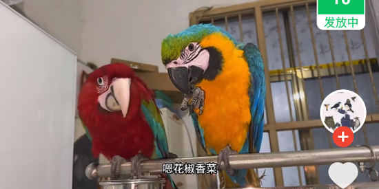 ������Ƶapp�ٷ���