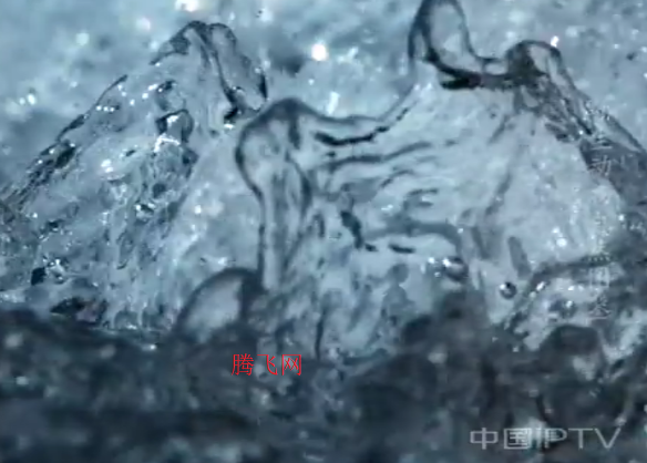 ��ëTVapp�ֻ���