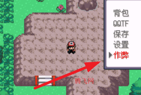 口袋妖怪决心内置修改器gba 口袋妖怪决心内置修改器gba