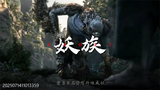 �����������ٷ�����